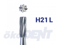 H21L012FG