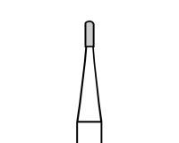 H31R009FG