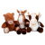 Putzi-Petz Teddy Bear - мягкая набивная игрушка с челюстью-типодонтом Putzi-Petz Teddy Bear - мягкая набивная игрушка с челюстью-типодонтом