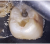 Smile Lite MDP - подсветка для дентальной фотографии, для смартфона Smile Lite MDP - подсветка для дентальной фотографии, для смартфона